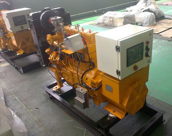 Silent 7kw - 120kw Natural Gas Generator , Portable Home Gas Generator